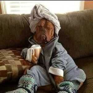 Meet your Posher, Candy